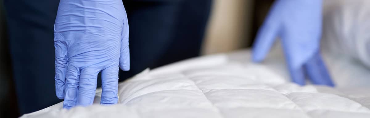 Comment choisir une housse anti-punaises de lit ?